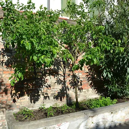 Appartement Ca' Ermina & Garden à Venise Extérieur photo